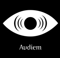 Enter Audiem a non visial web experience project.